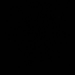 Meet your Posher, Kaila